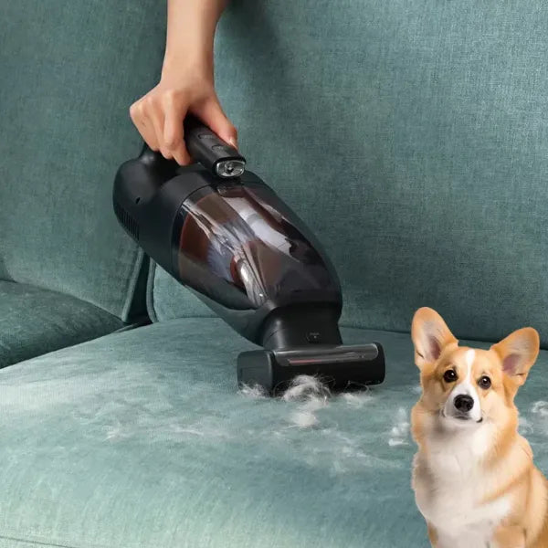 Cleanvia Aspirateurs à Main