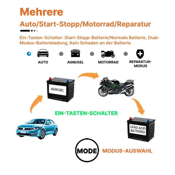 BatChar Autobatterie Ladegerät DE01