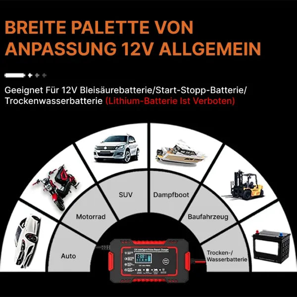 BatChar Autobatterie Ladegerät DE01