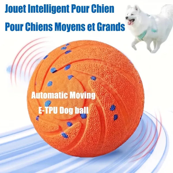 WagBalle Balle Interactive Chien FR04