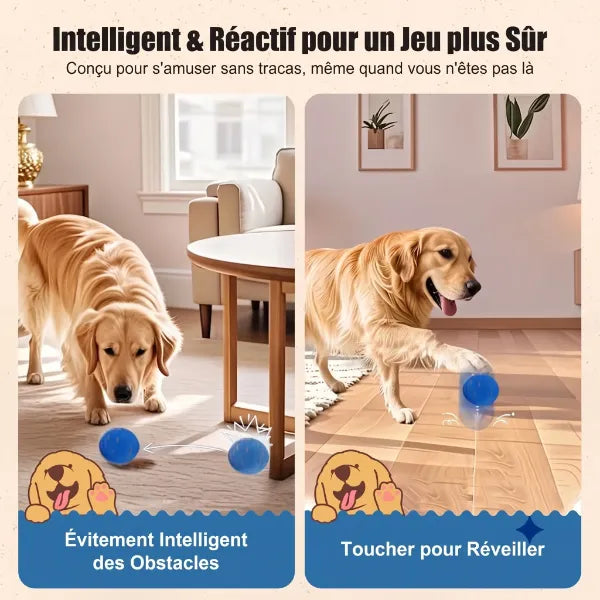 WagBalle Balle Interactive Chien FR04