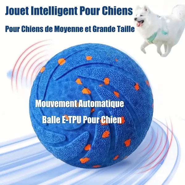 WagBalle Balle Interactive Chien FR04