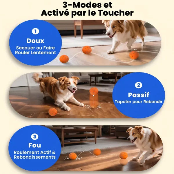 WagBalle Balle Interactive Chien FR04