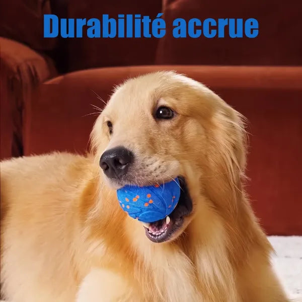 WagBalle Balle Interactive Chien FR04
