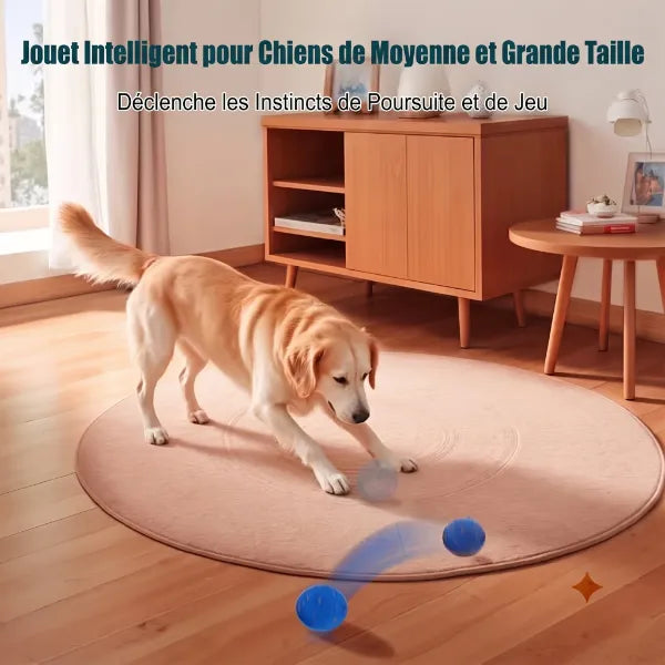 WagBalle Balle Interactive Chien FR04