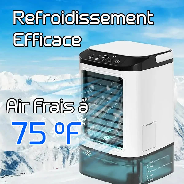 Brizora Climatiseurs Portables