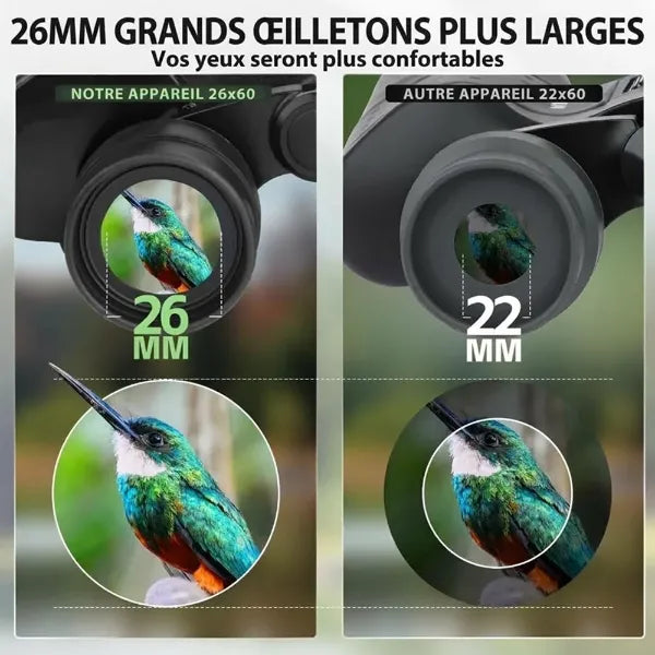 AviScope Jumelles Observation Oiseaux FR04