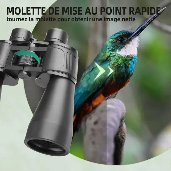AviScope Jumelles Observation Oiseaux FR04