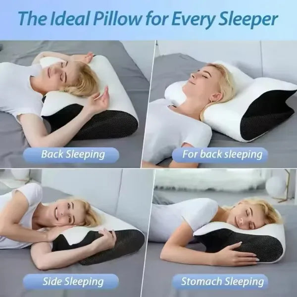 CerviRest Oreillers Ergonomiques