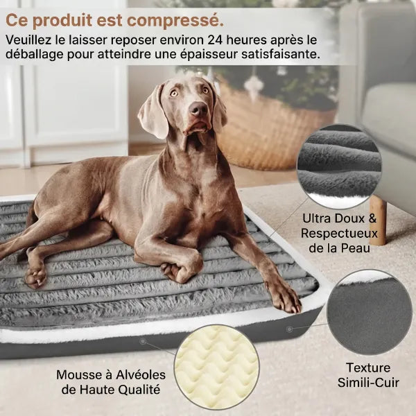 CaniCush Panier Orthopédique Pour Chien-FR-03