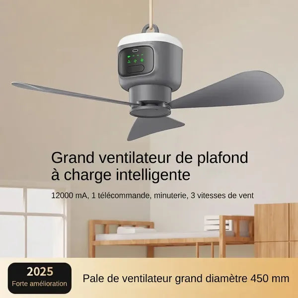 CieloFan Ventilateur De Plafond Sans Fil FR03