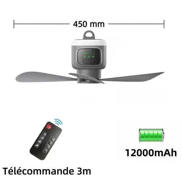 CieloFan Ventilateur De Plafond Sans Fil FR03