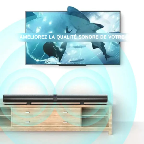 Audivox Barres de Son