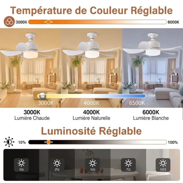 AirNova Ventilateurs de Plafond FR02