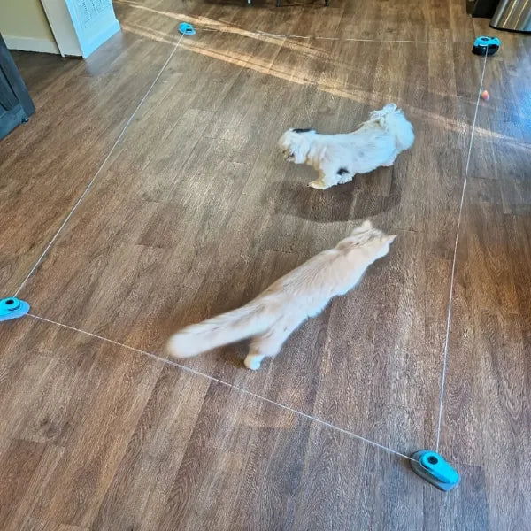 MiloPaw Jouets Interactifs pour Chat