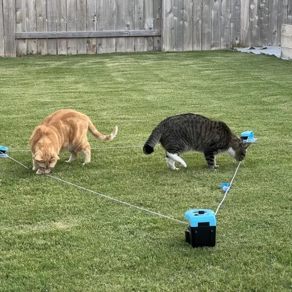 MiloPaw Jouets Interactifs pour Chat