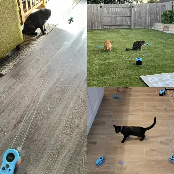 MiloPaw Jouets Interactifs pour Chat