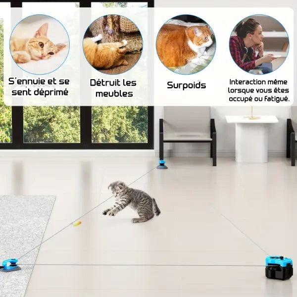 MiloPaw Jouets Interactifs pour Chat