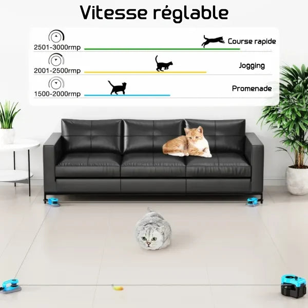 MiloPaw Jouets Interactifs pour Chat