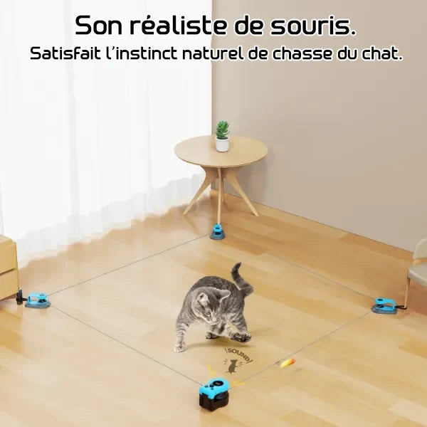 MiloPaw Jouets Interactifs pour Chat