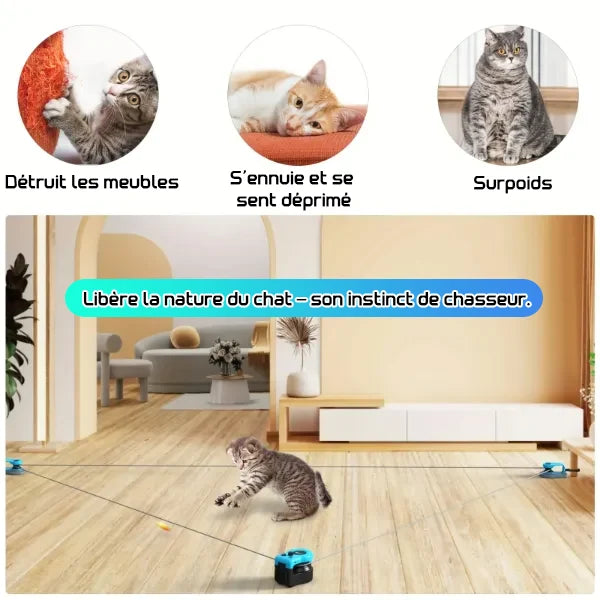 MiloPaw Jouets Interactifs pour Chat